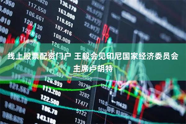 线上股票配资门户 王毅会见印尼国家经济委员会主席卢胡特